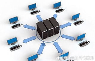 四川自考网络工程专业本科分析与计算机软硬件及辅助设备批发行业前景